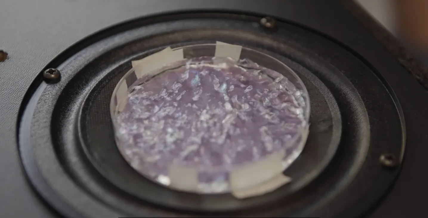 Image of a petri dish of water being moved by vibrations from the speaker it is on top of